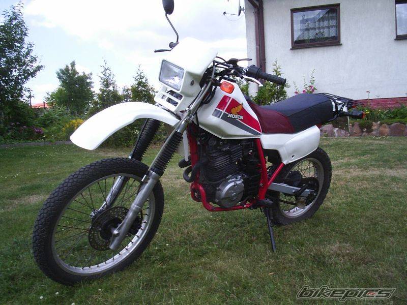 Photo 415759