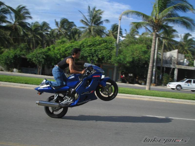 Photo 415769