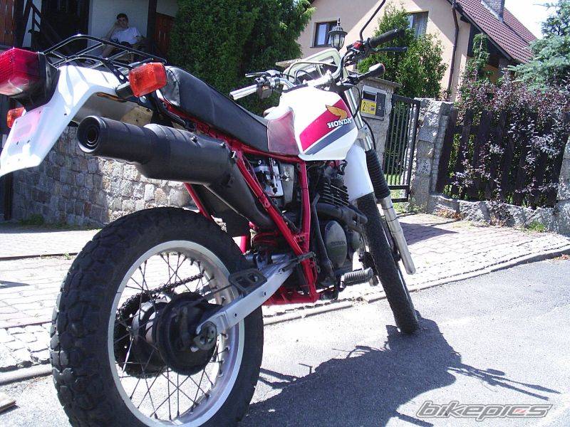 Photo 415777