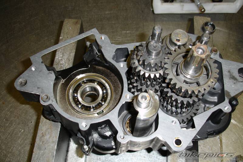 Photo 415816