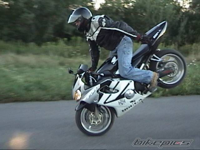 Photo 416066