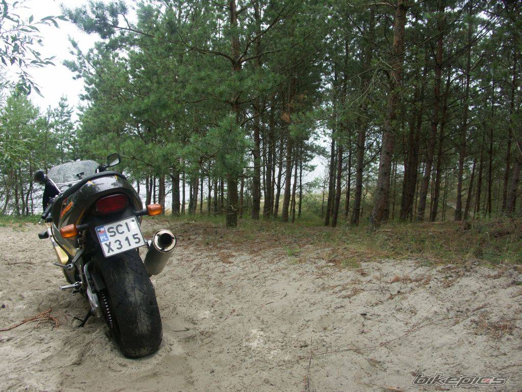 Photo 416072