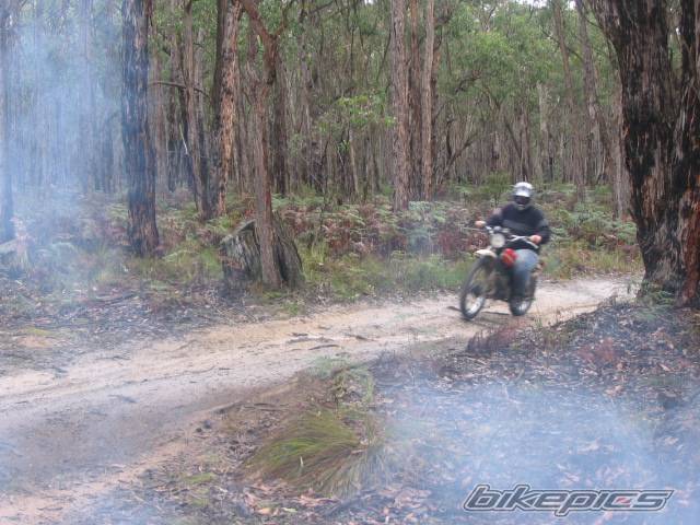 Photo 416373