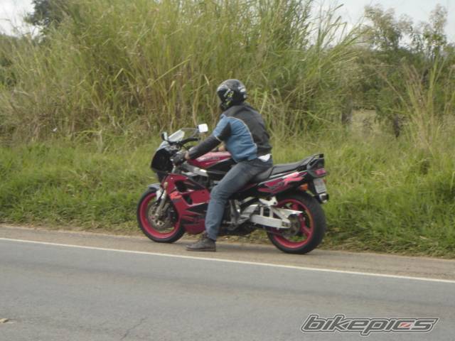 Photo 416441