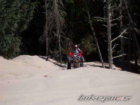 Photo 416454