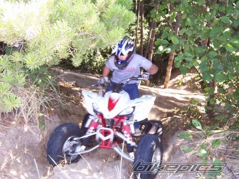 Photo 416466