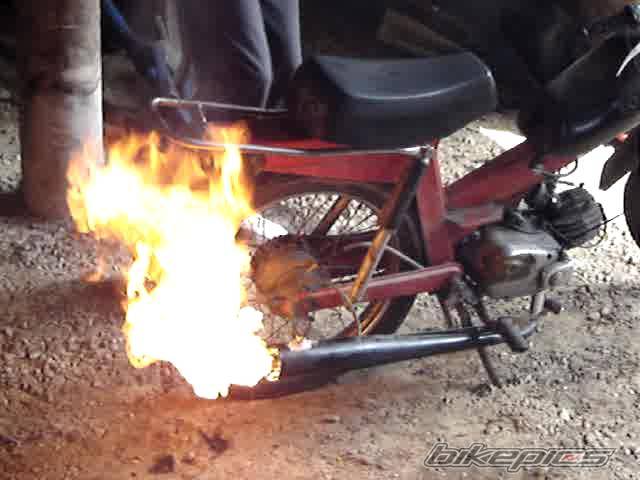Photo 416479