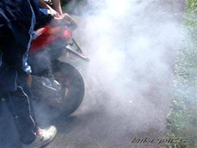 Photo 416498