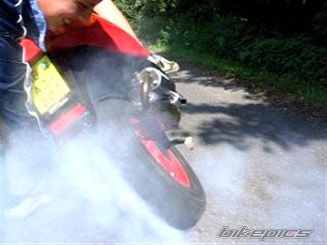 Photo 416499