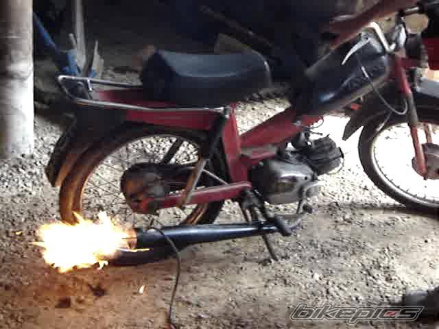 Photo 416502
