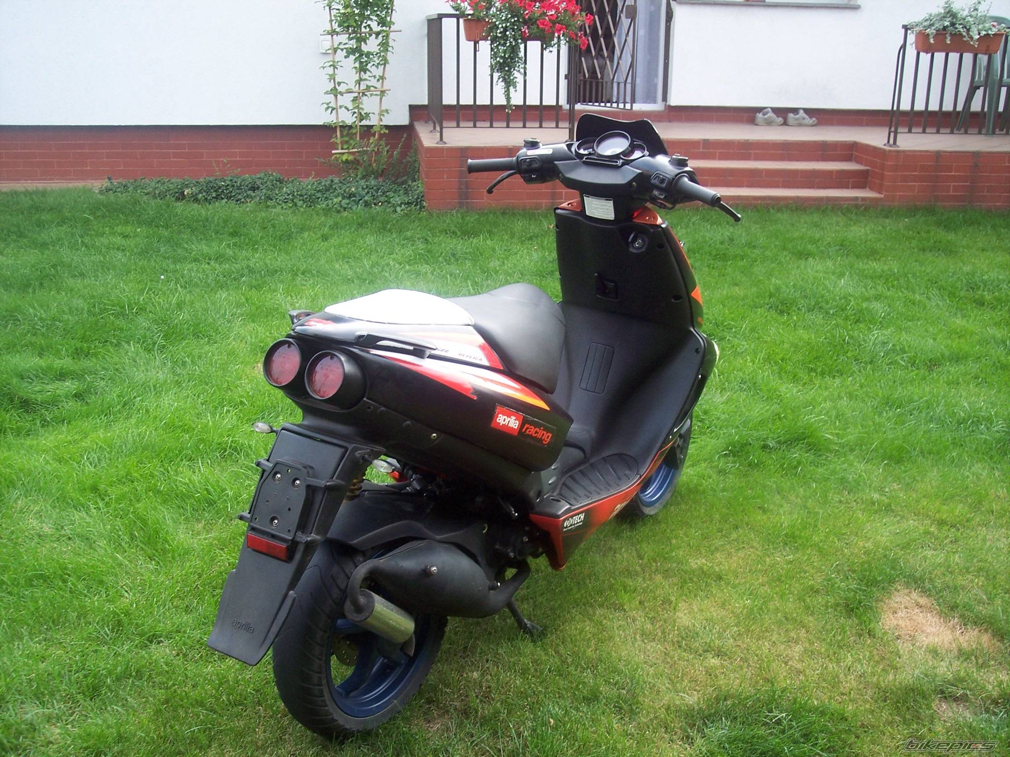 Photo 416617