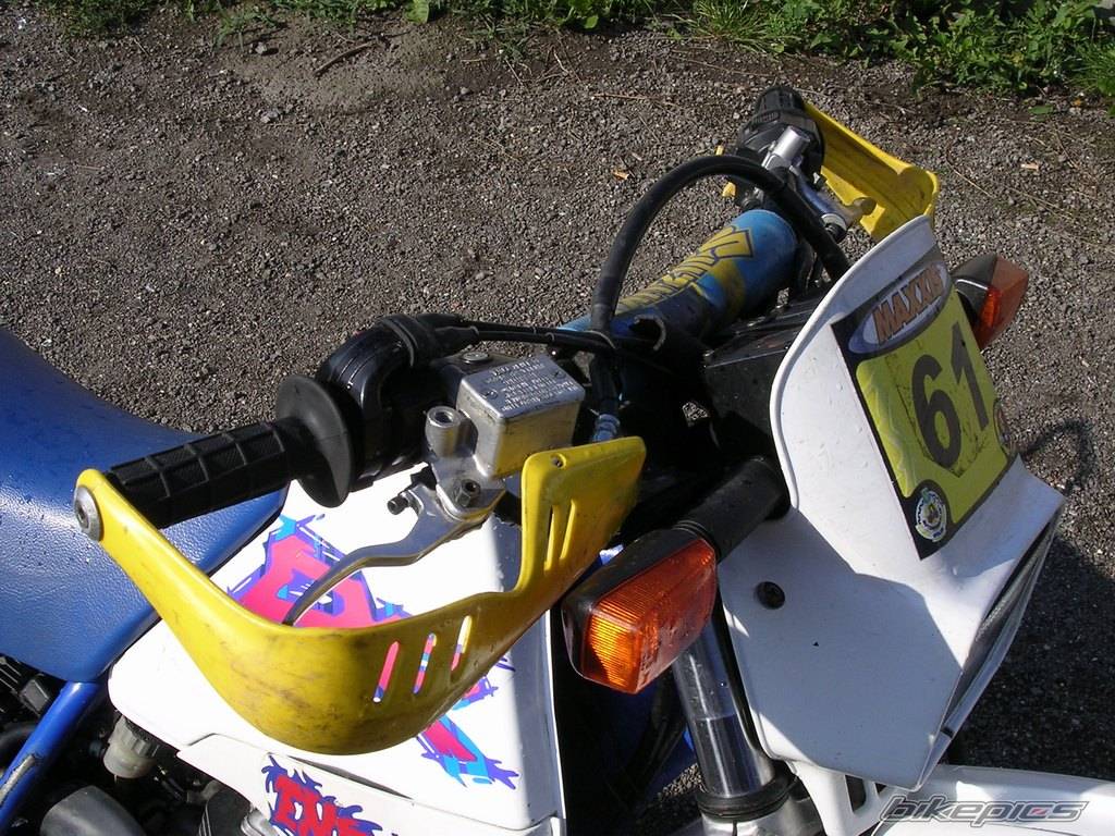 Photo 416618