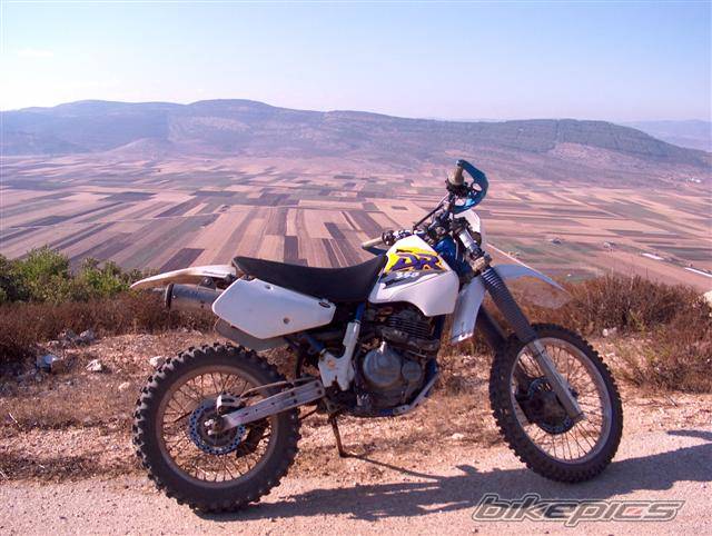 Photo 416625