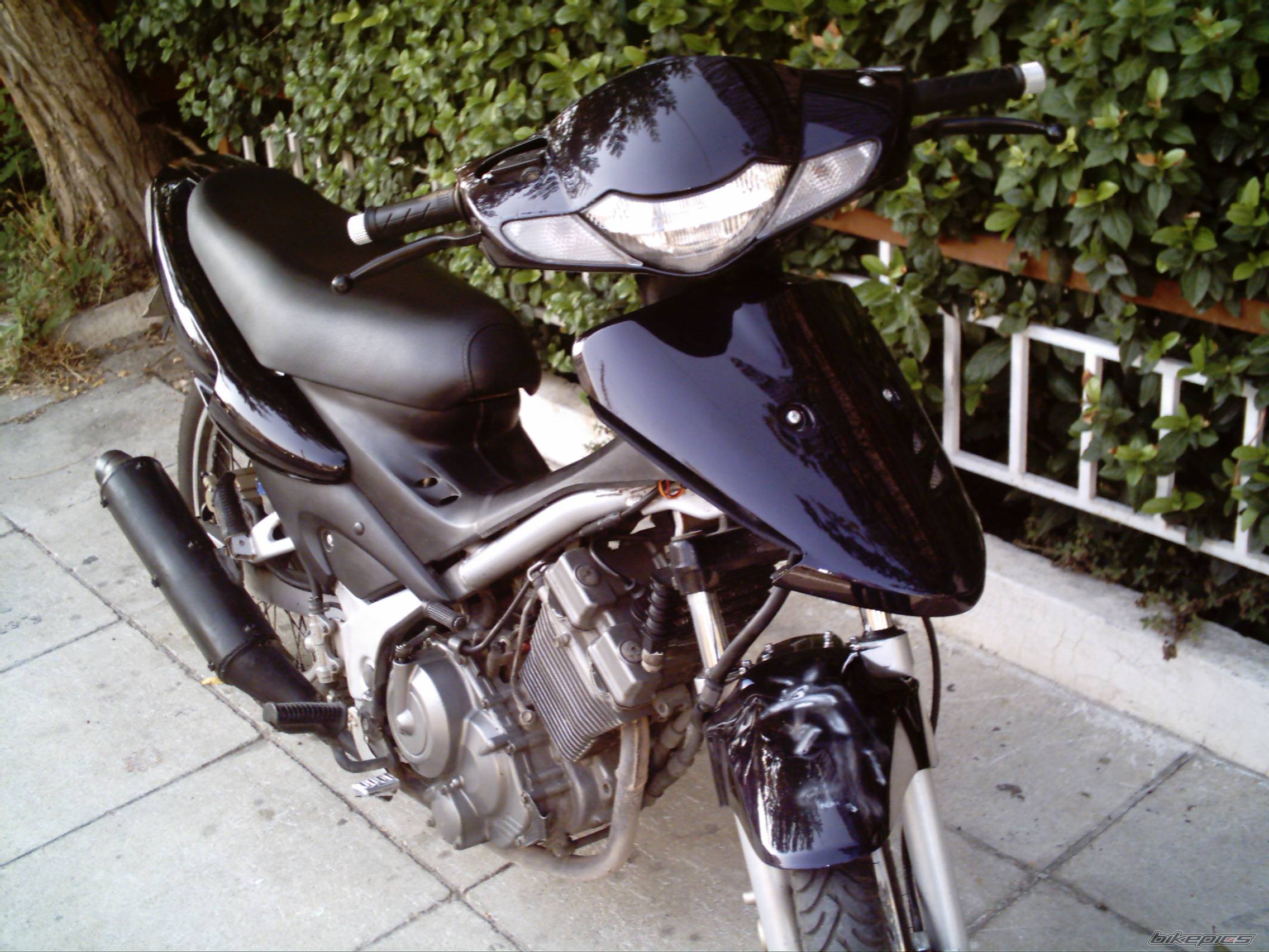 Photo 416647