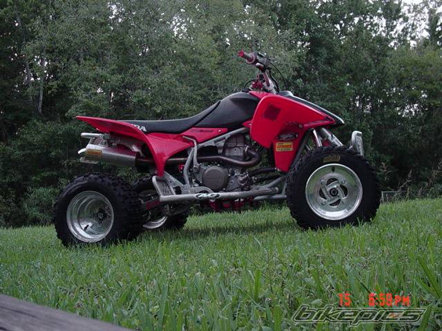 Photo 416700