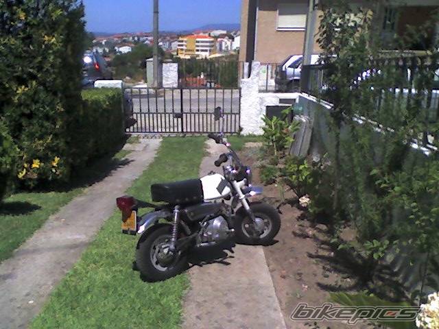 Photo 416954