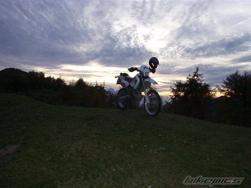Photo 41707