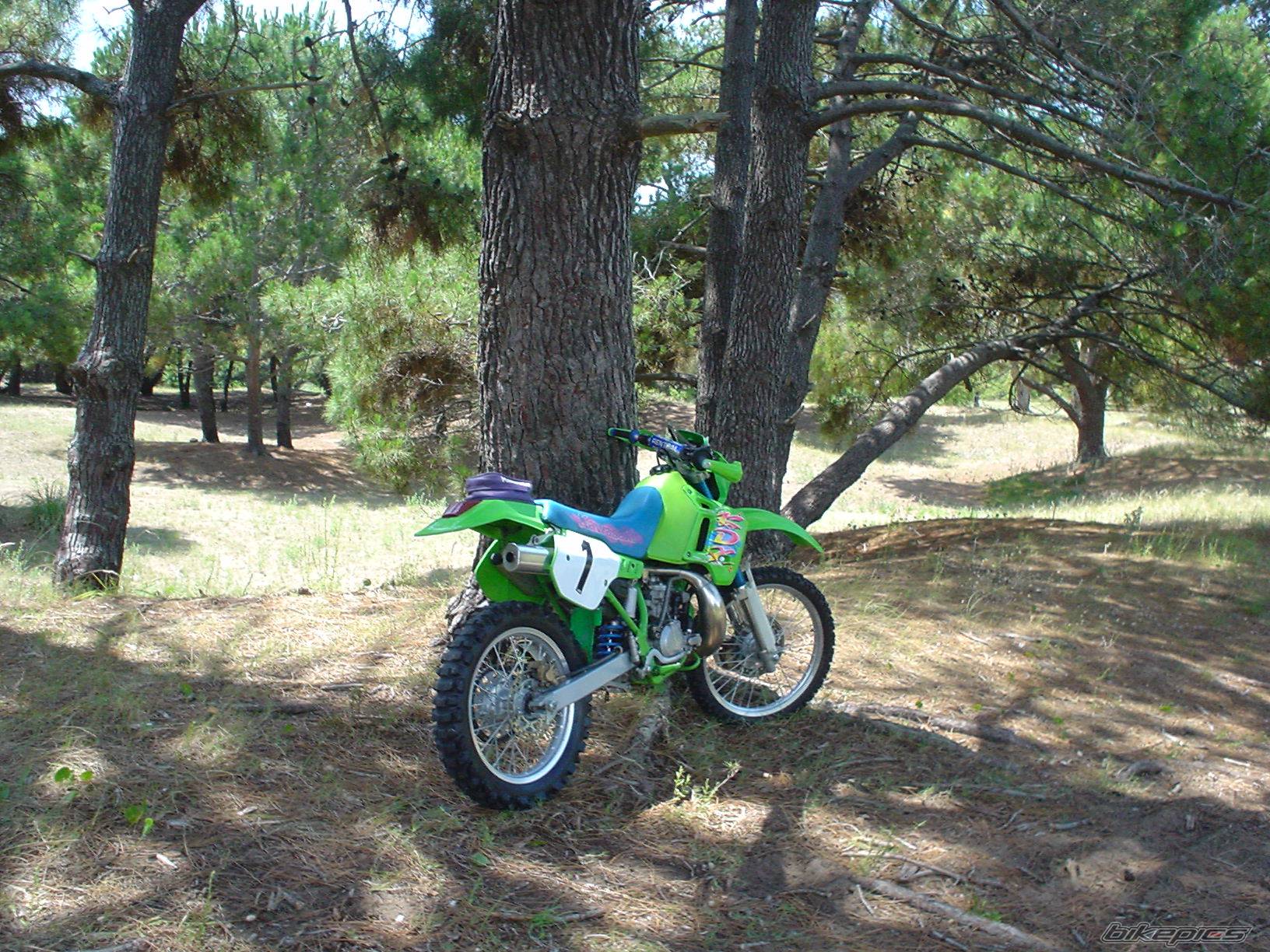 Photo 417285