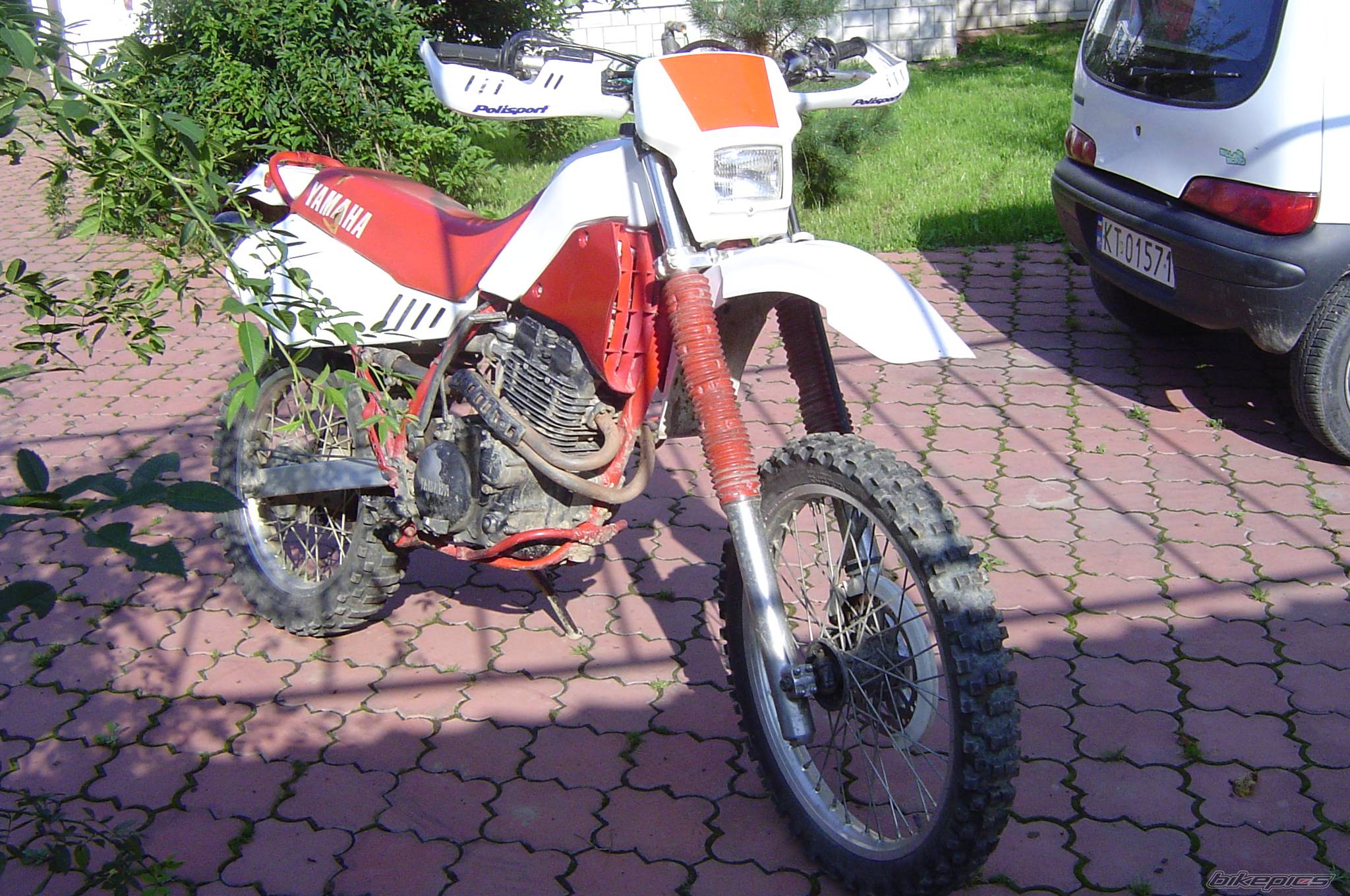 Photo 417429