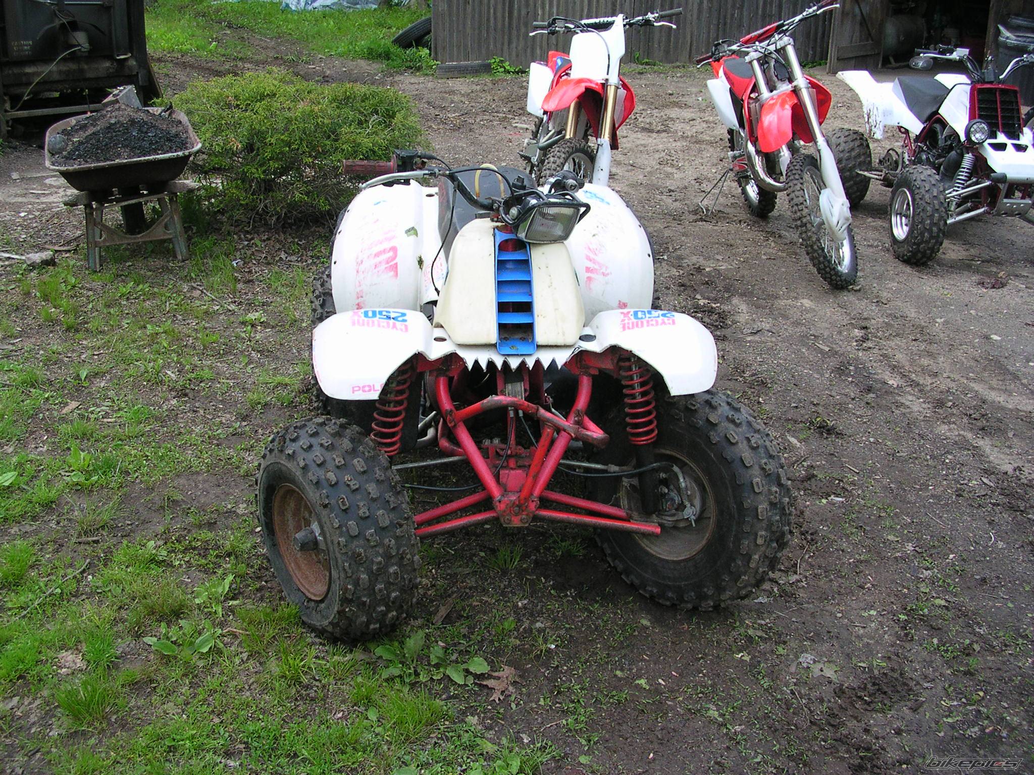 Photo 417646