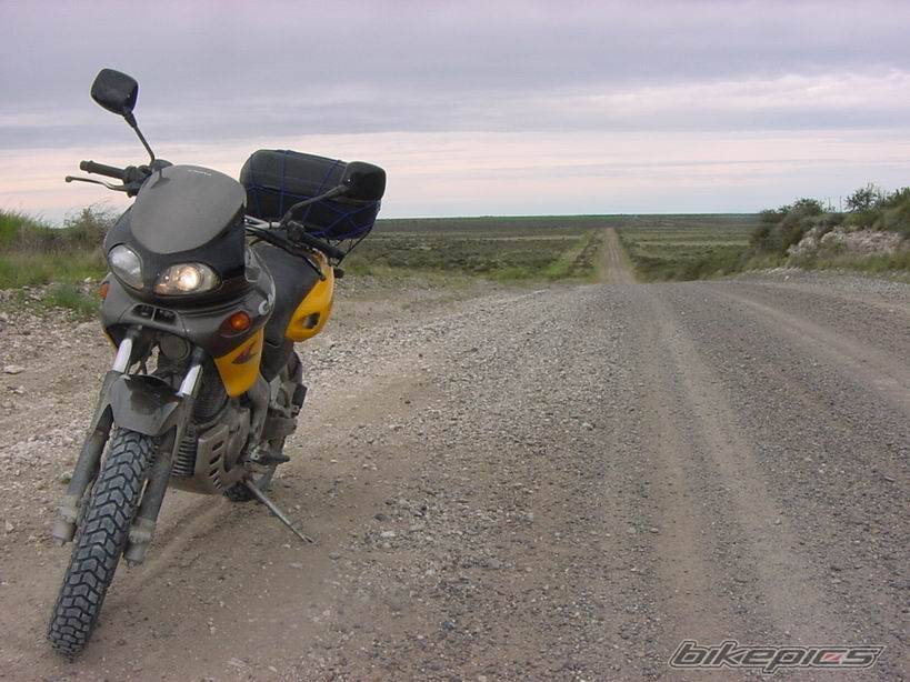 Photo 41769