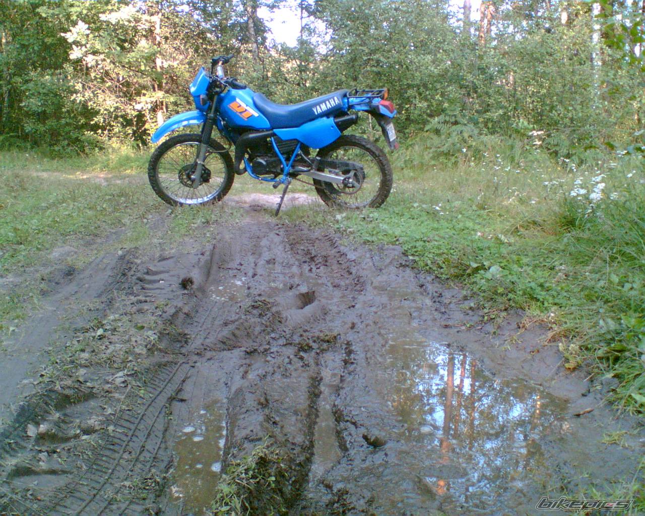 Bike Photo 417707