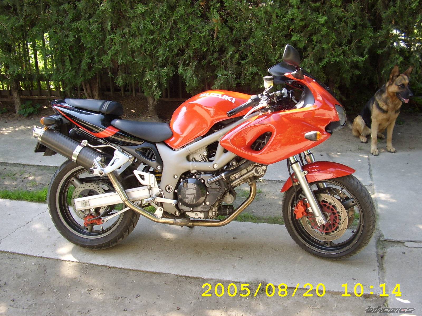 Photo 418290