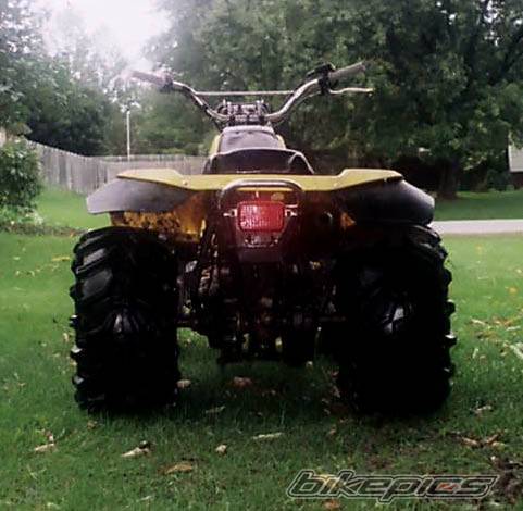 Photo 418404