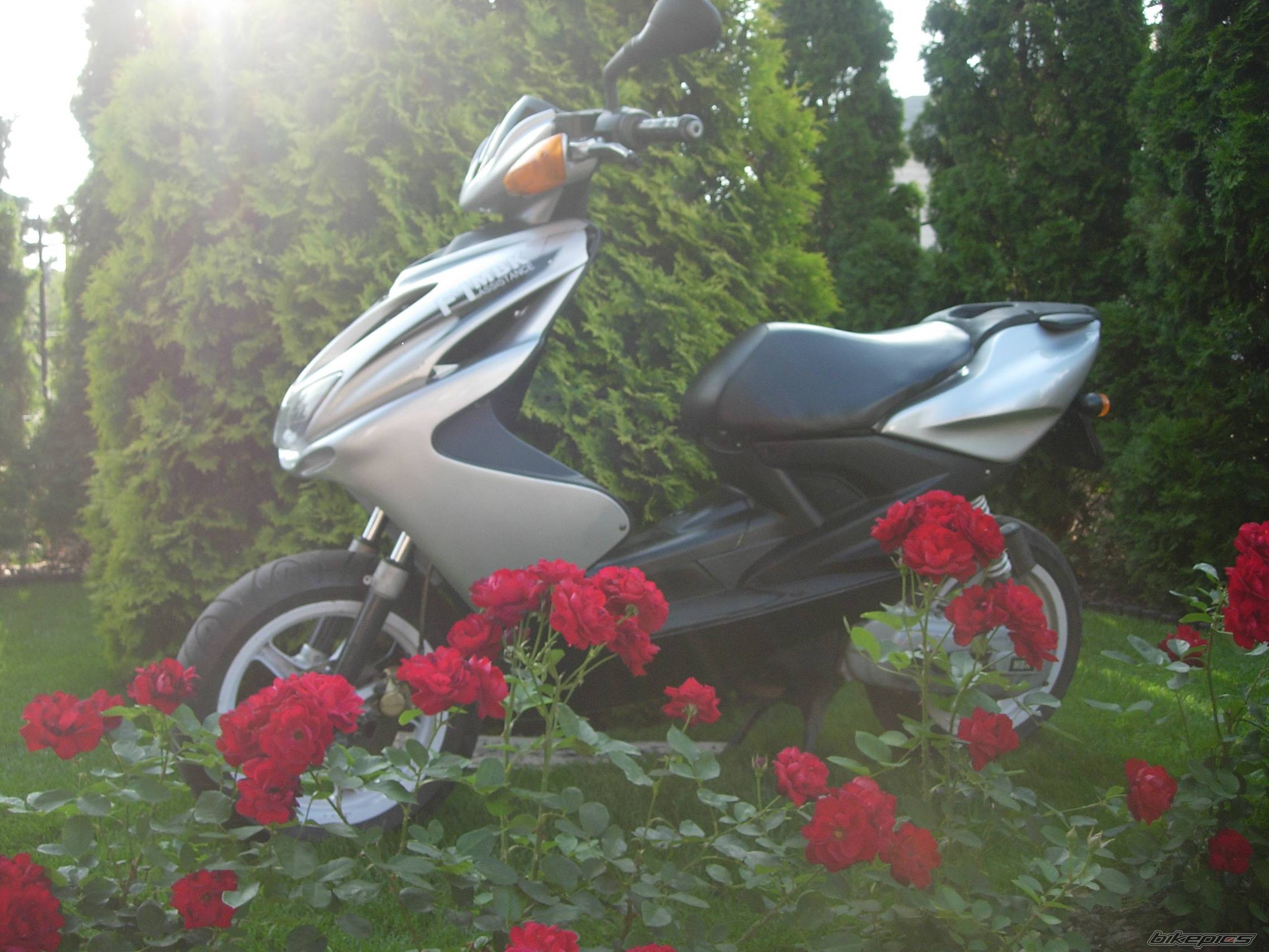 Bike Photo 418420