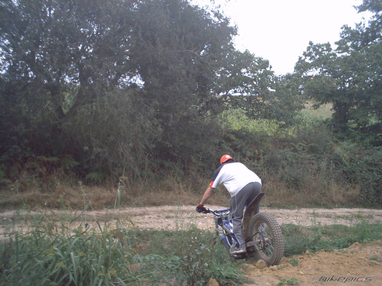 Photo 418731