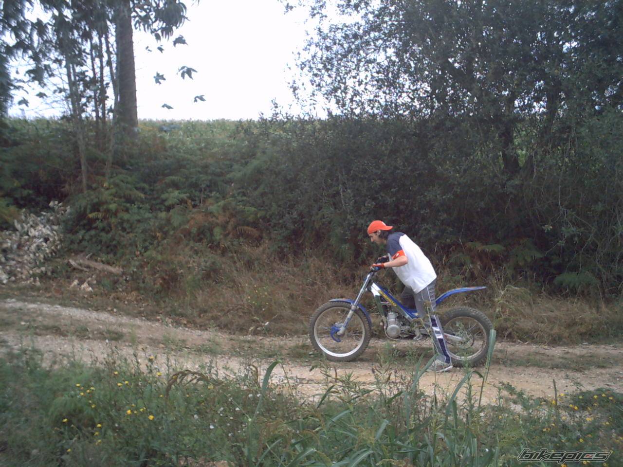 Photo 418735