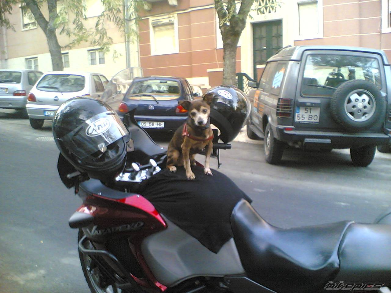 Photo 418756