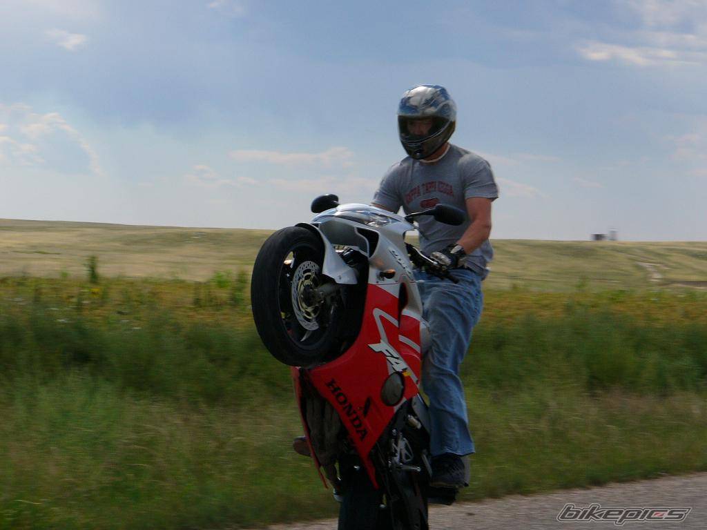 Photo 418864