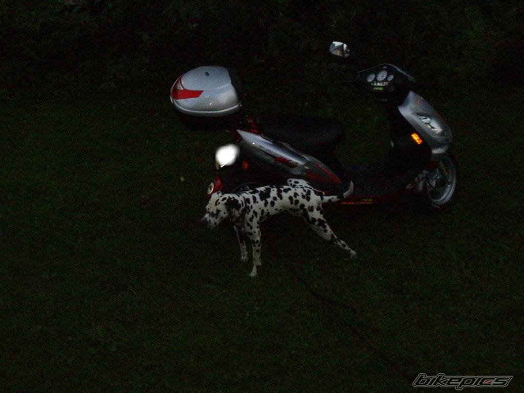 Photo 419244