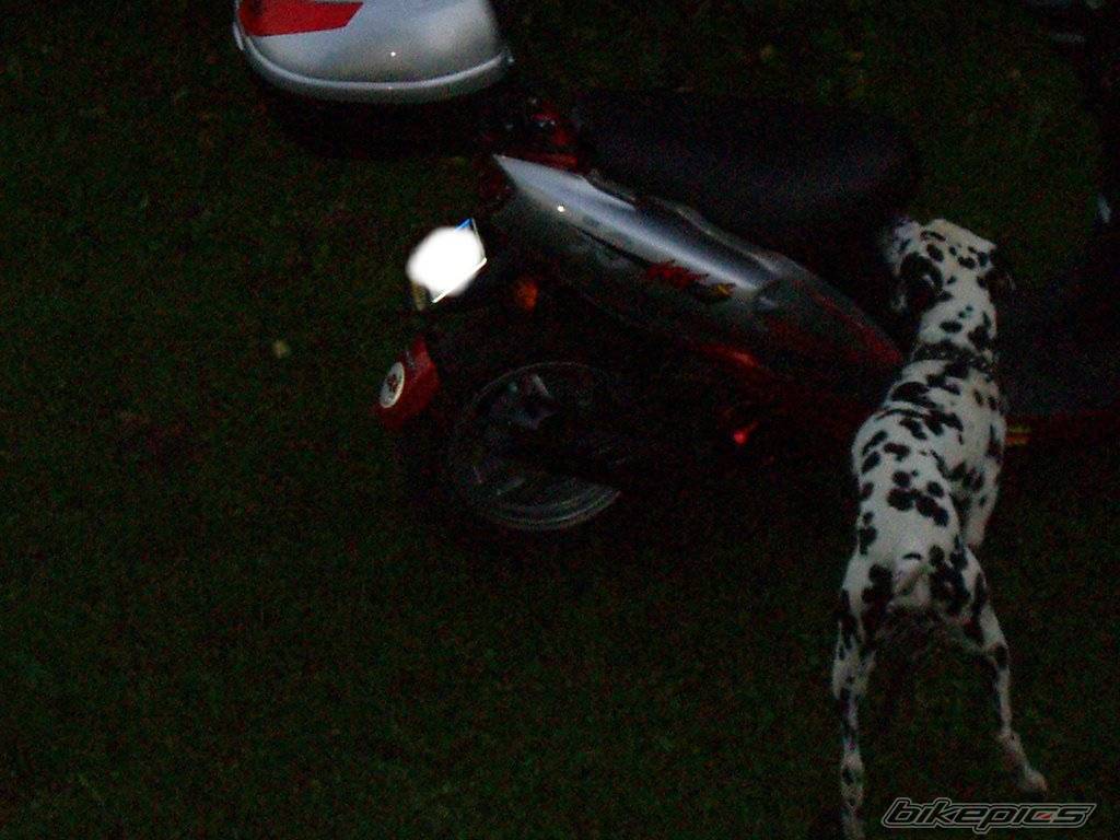 Photo 419245