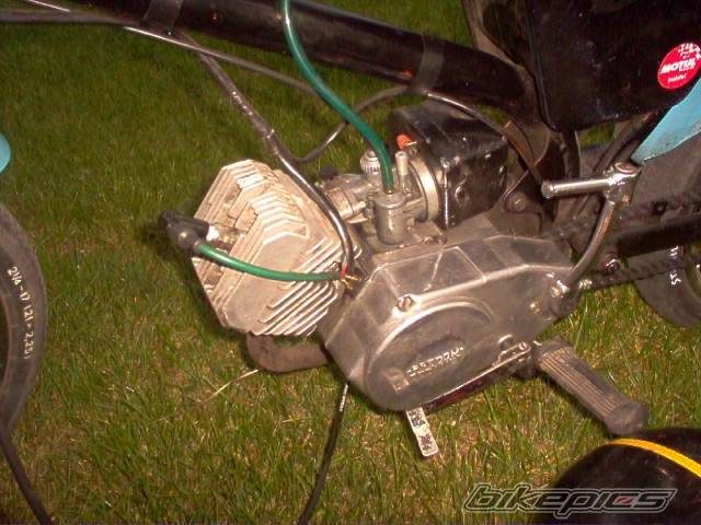 Photo 419262