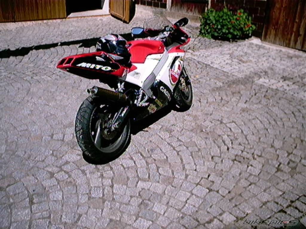 Photo 41934