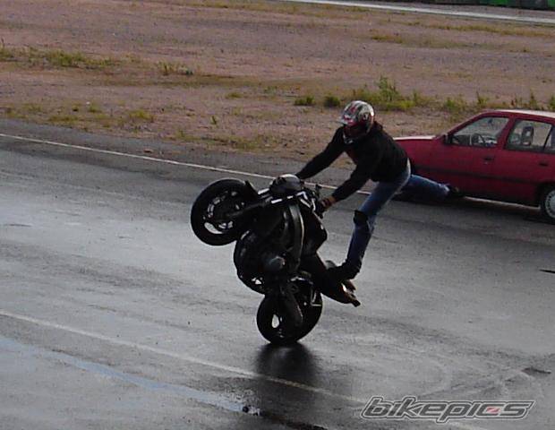 Photo 419461