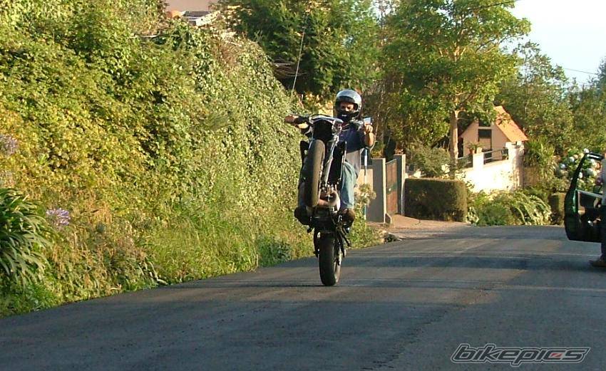 Photo 419536
