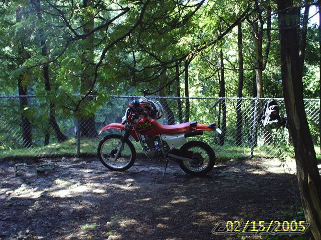 Photo 419625