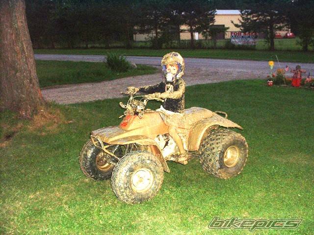 Photo 419655