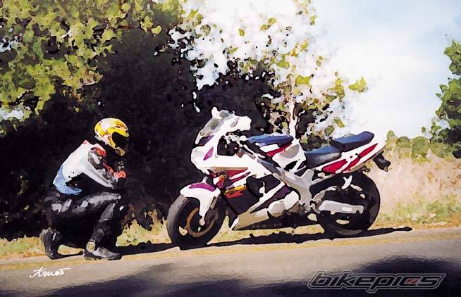 Photo 4197