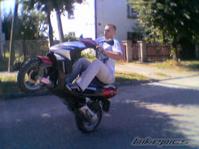Photo 419794