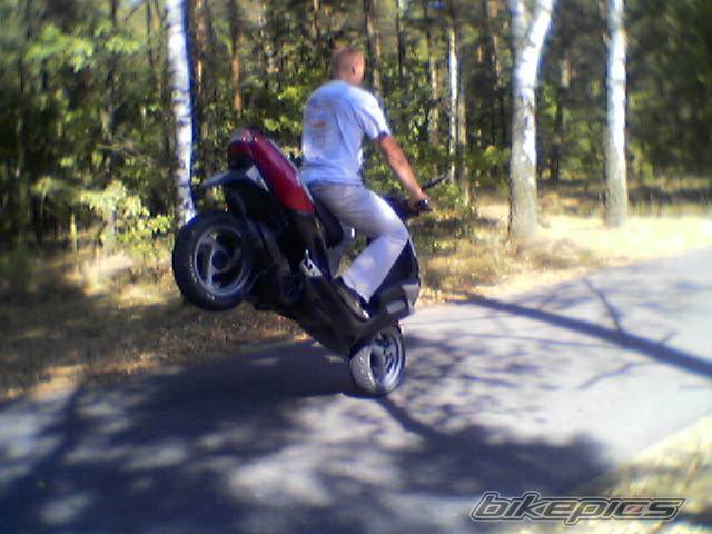 Photo 419795