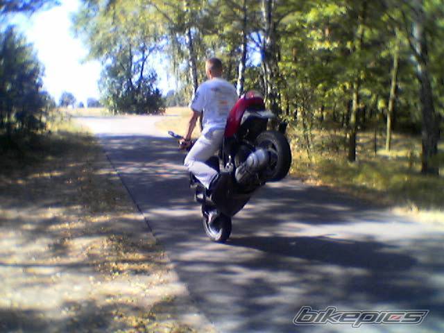 Photo 419797