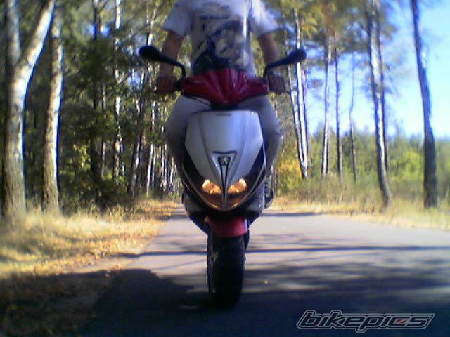 Photo 419798