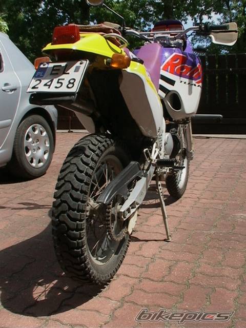 Photo 419868