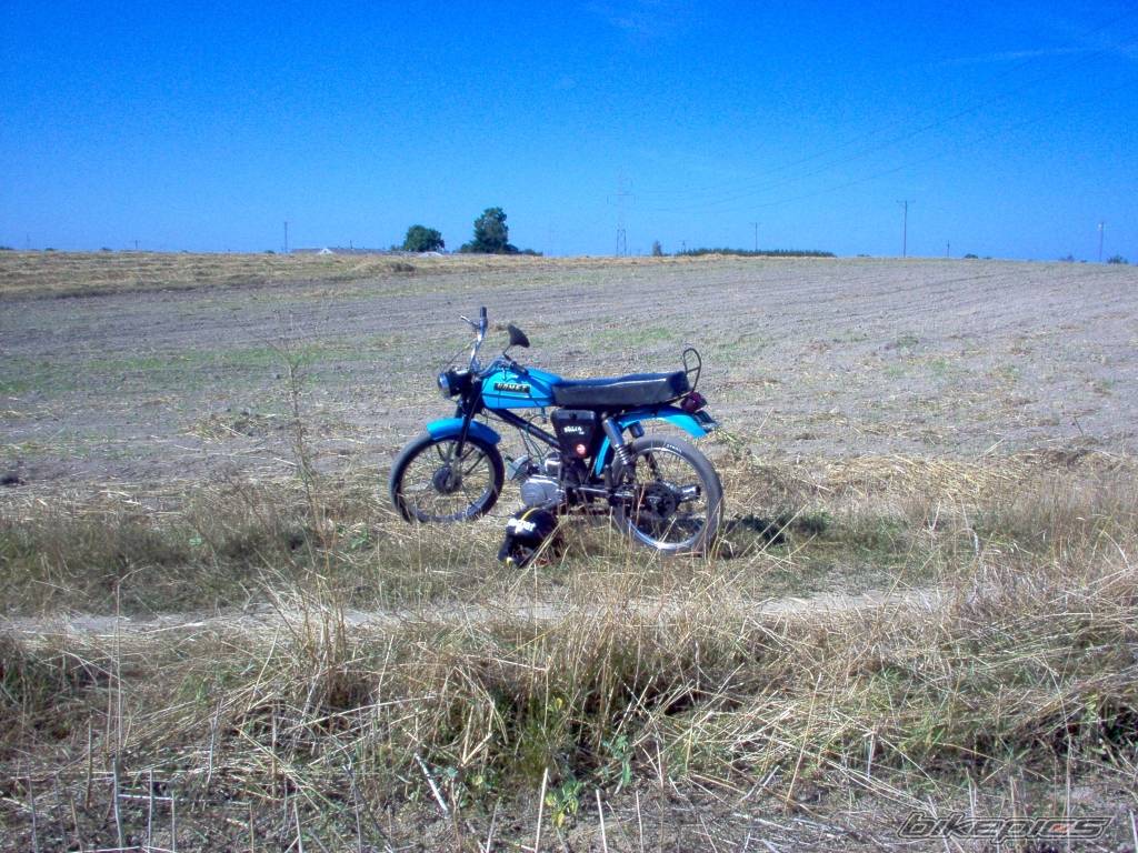 Photo 419889