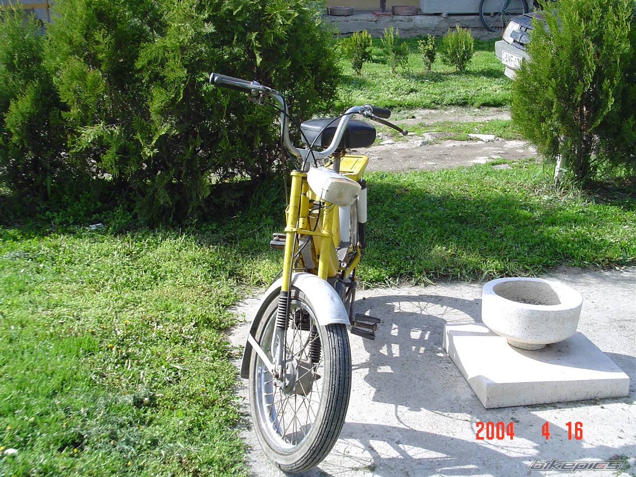Photo 419895
