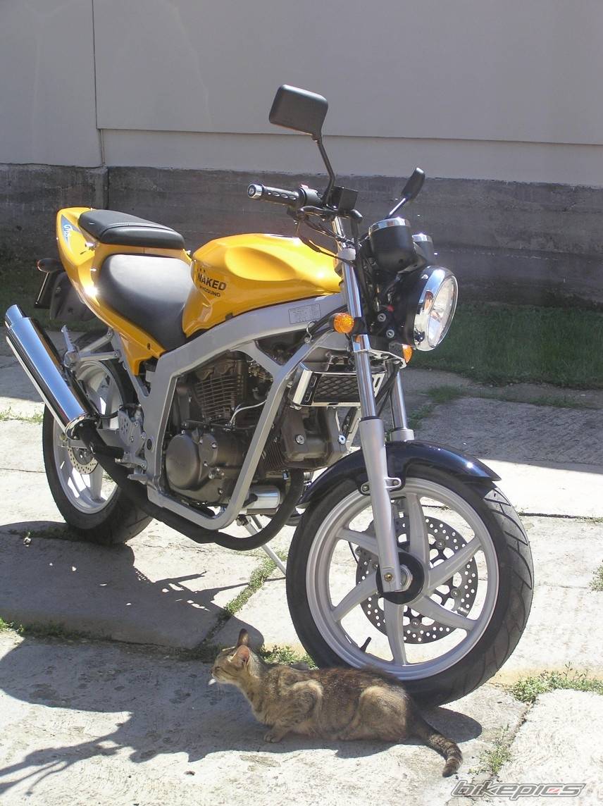 Bike Photo 419941